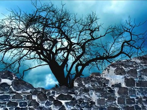 YALNIZ YAŞLANANLAR - Osman Aktaş