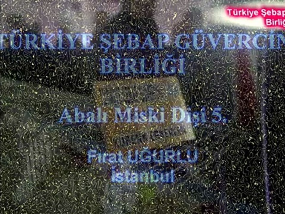 Türkiye Şebap Güvercin Birliği III. Trakya Festivali 5.Bölüm