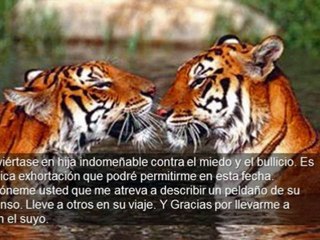 Cartas a una Joven Soñadora | Carlos de la Rosa Vidal | Poema Motivacional