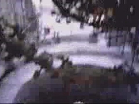 Sepultura - Territory