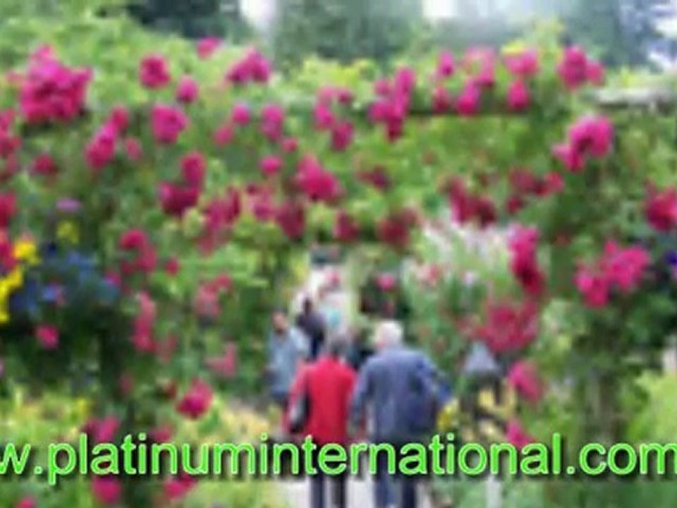 Toowoomba Accommodation. Find YOUR Accommodation