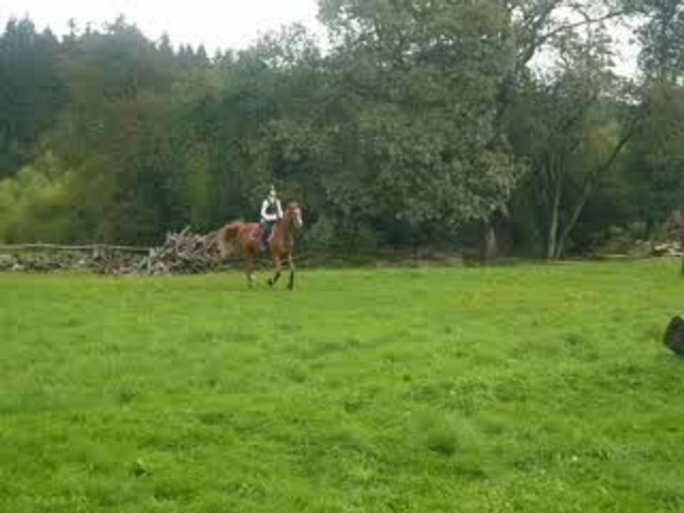 Moi et mon gros lulu au cross