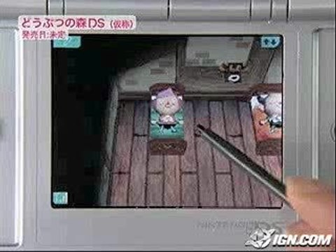 PUB animal crossing DS