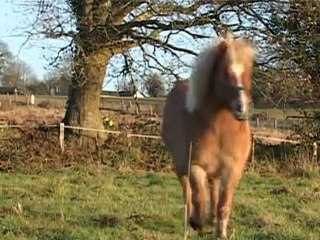 Petite Balade au fil des saisons