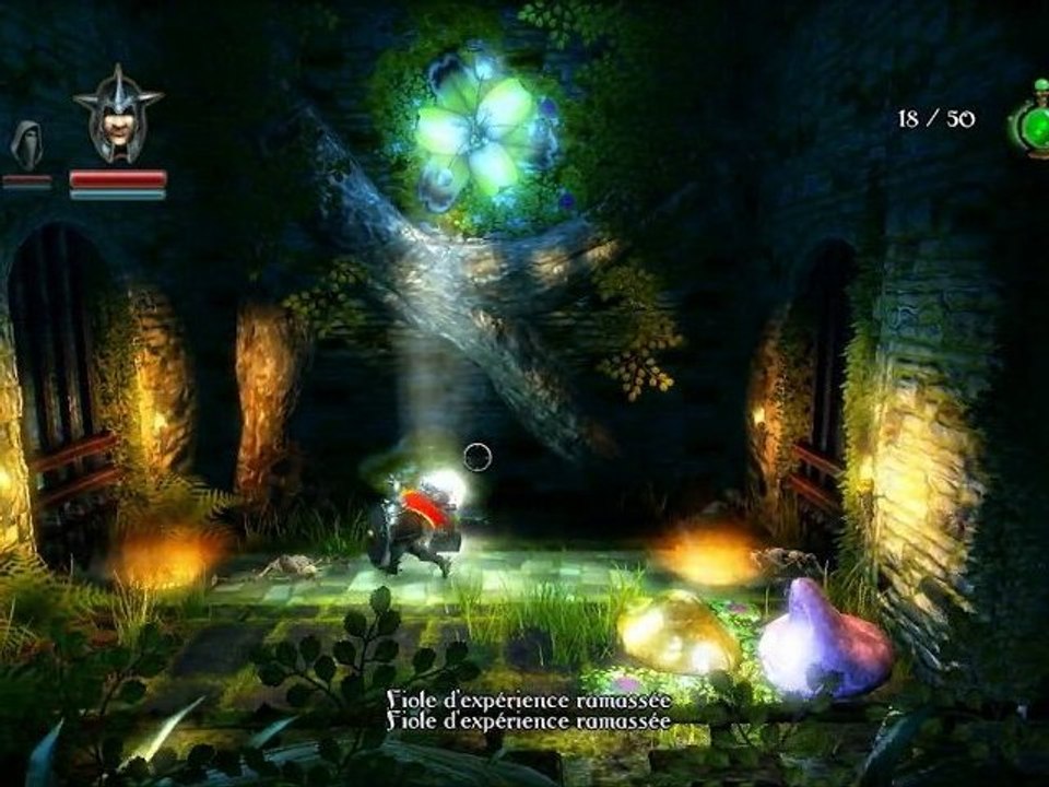 [Vidéo-Test] Trine (PC)