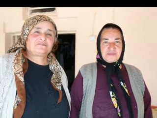 Celal BAYAR _ Rınde Rınde