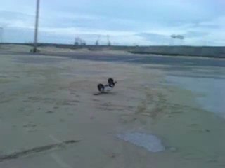 kyosho mad force 1/8 contre baja 1/5