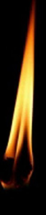 Noize Suppressor - Hardcore Junky.