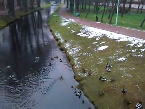 Zadanie od Paweł Soczyński