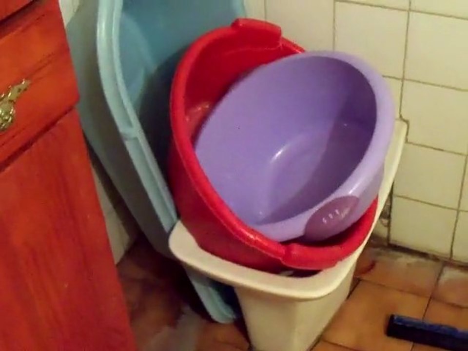 Une araignée dans la salle de bain