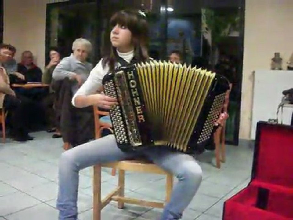Chat noir chat blanc Accordéon