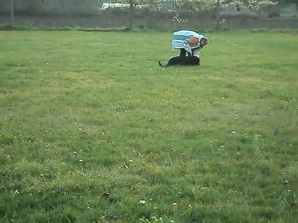 11 decembre 2011 012