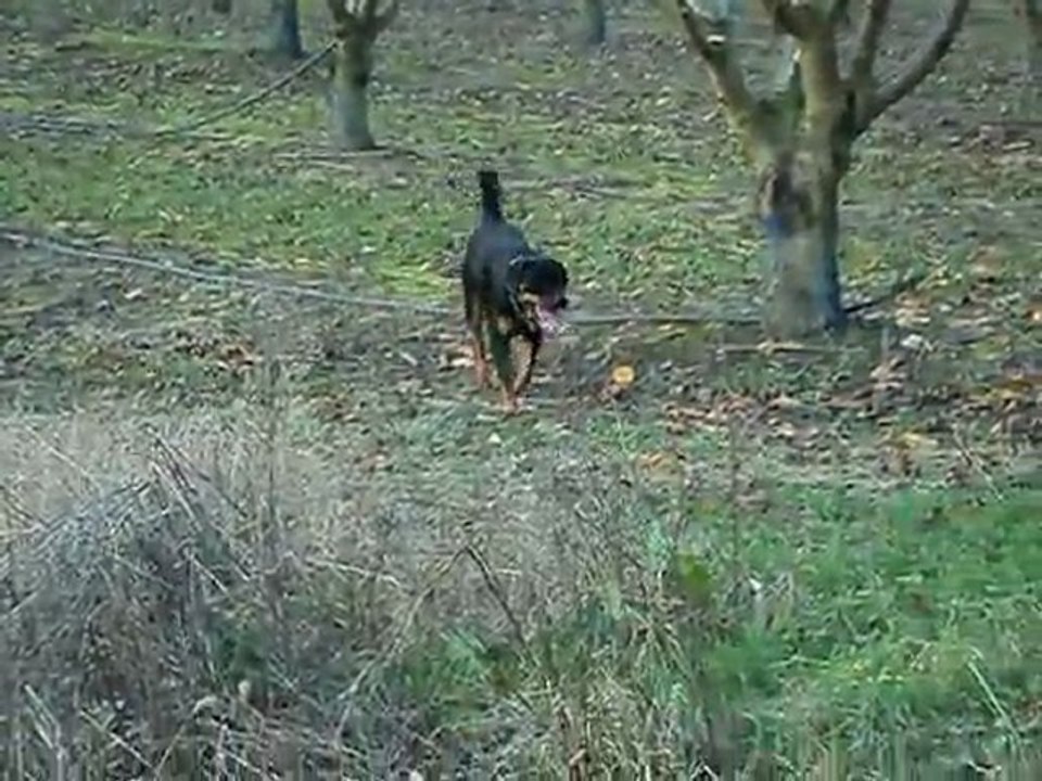 11 decembre 2011 001