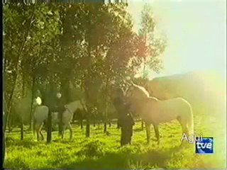 Christian Meier   escena La Tormenta cap 78  «Santiago Guanipa encuentra a Domino»