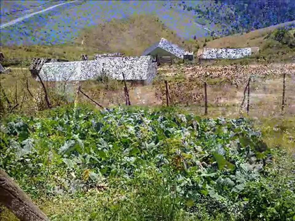 GİRESUN EMEKSEN KÖYÜ YAYLALARI