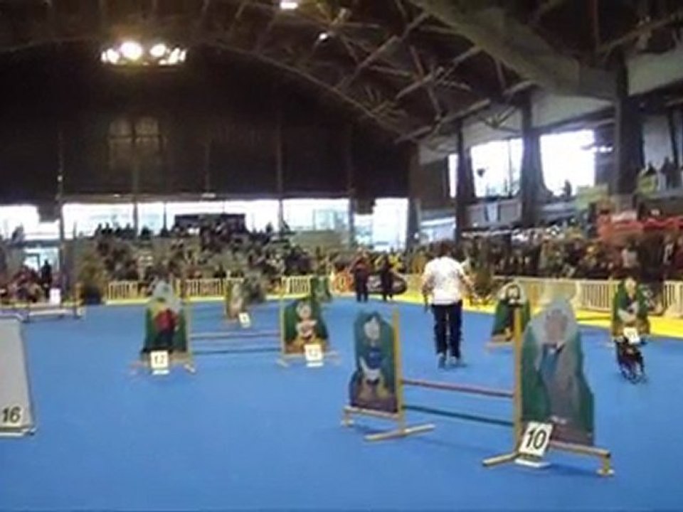 Eidi jumping+ La Beaujoire 2011