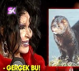 BÜLENT ERSOY, KIRMIZI KÜRKÜYLE ŞOV YAPARKEN HAYVANSEVERLERİ NASIL ÇILDIRTTI?