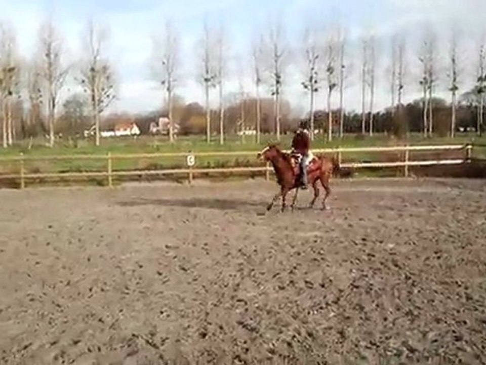 Pucky et moi, le 11 décembre 2011 (2)