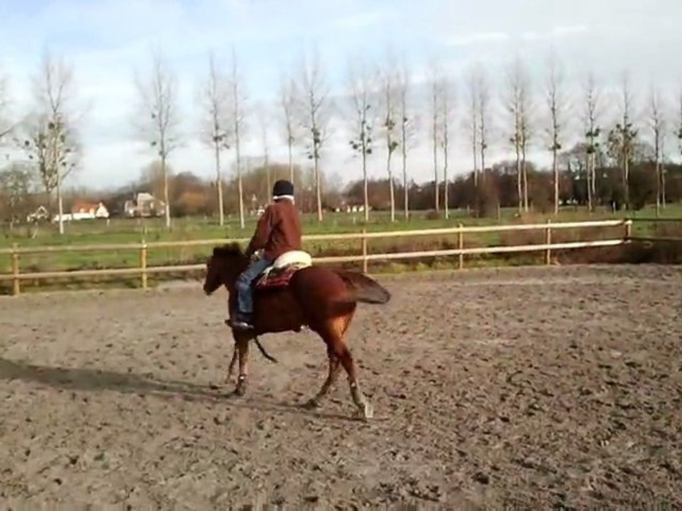 Pucky et moi, le 11 décembre 2011 (3)