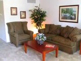 Brandywine Apartments in Saint Petersburg, FL - ForRent.com