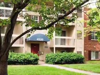 Foxchase Apartments in Alexandria, VA - ForRent.com