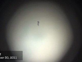 UFO.( Reptilien Visite)-30.11. 2011  (ANALYSE)