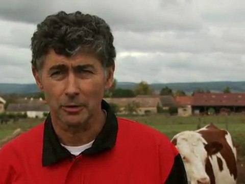 Maîtriser ses couts de production en production laitière