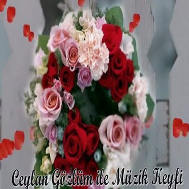 unutursun ceylan