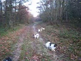 Promenade automnale en Décembre 2011