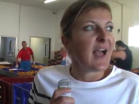 GRAU D'AGDE - 2011 - ( 2 ) Le poisson, de la mer à l'assiette : les enchères de la criée du Grau d'Agde