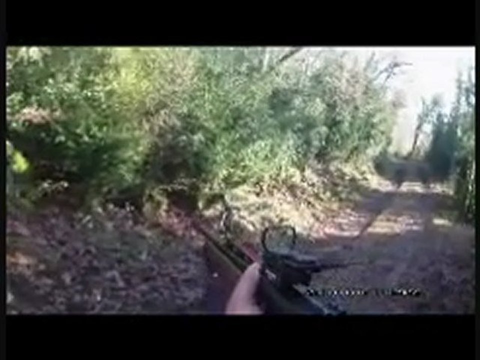 CHASSE AUX SANGLIERS DU 10.11.2011