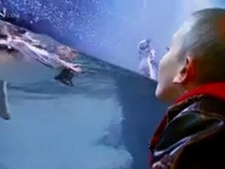 Christmastown at Busch Gardens - CBN.com