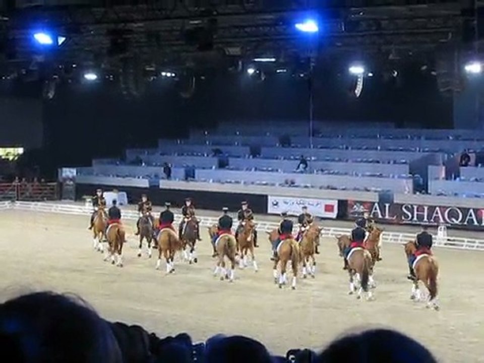 Salon du Cheval Paris 2011 Voltige