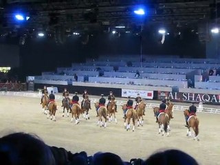 Salon du Cheval Paris 2011 Voltige