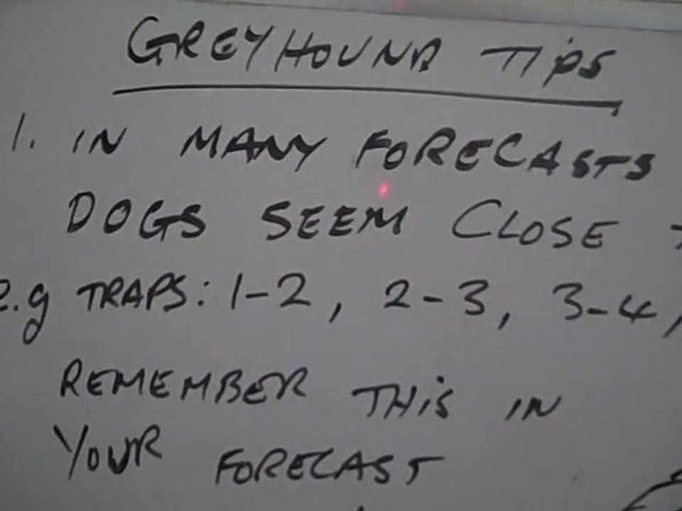 Winning Greyhound Tips