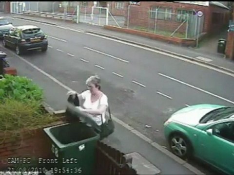 L'abstention fait peur aux chatons - A voté !