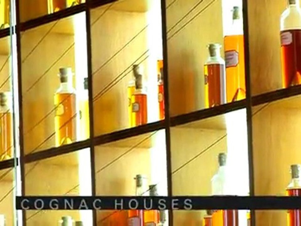 Cognac Country in Charente - Jarnac