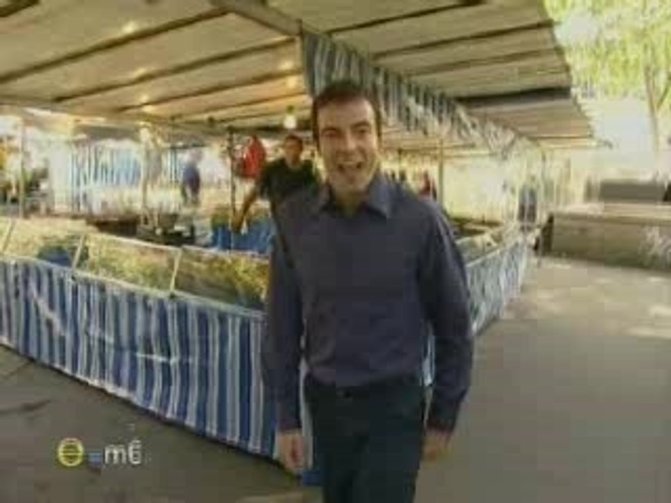 La voix - Cordes vocales