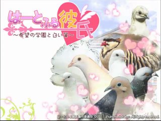 Découverte de Hatoful Boyfriend