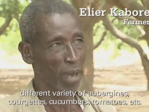 Christian Aid Partnerships Scheme: ODE, Burkina Faso