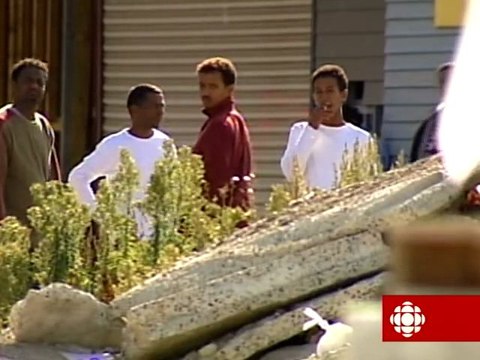 Reportage TJ - Immigrants illégaux