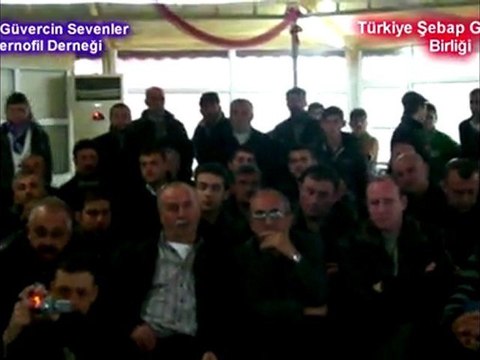 Samsun Güvercin Sevenler ve Sernofil Derneği Şebap Güvercin Serigisi