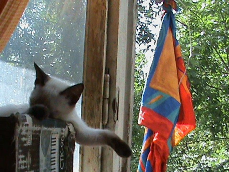 Канон