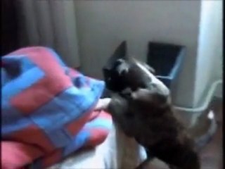 7 semaines et demi ...