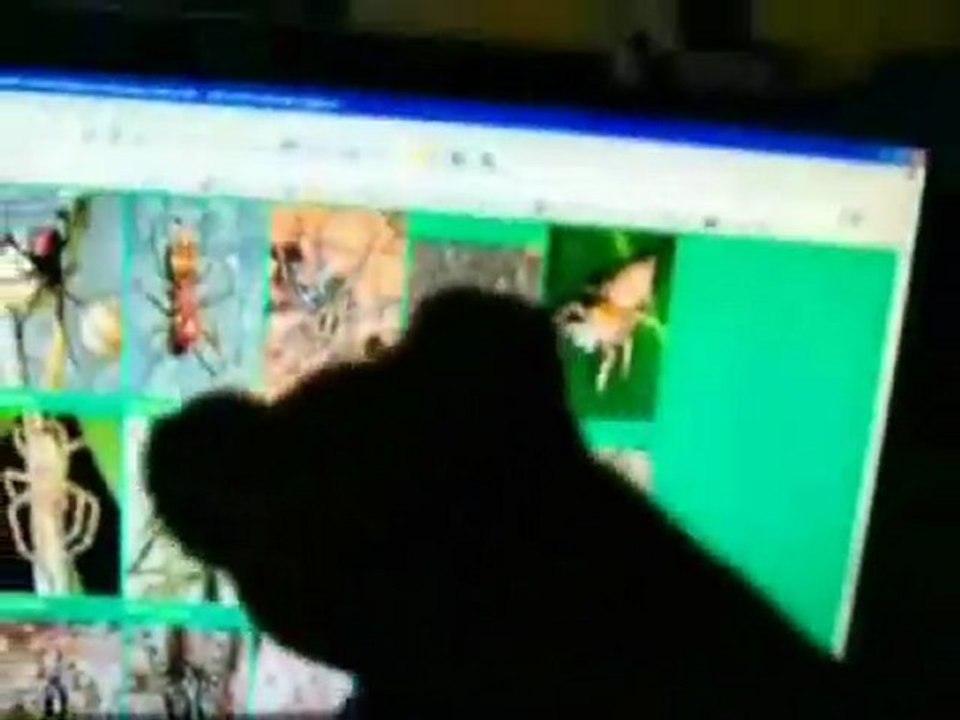 Am I Evil?