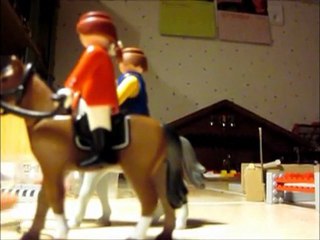 Générique : Les Écuries du cheval pie