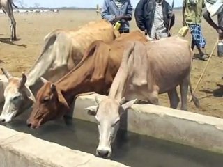 ACT ALLIANCE: East Africa's drought - the crisis deepens