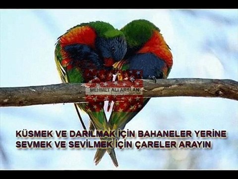 KURBANİ SURAL rinda min kürtçe şarkı @ MEHMET ALİ ARSLAN Videos