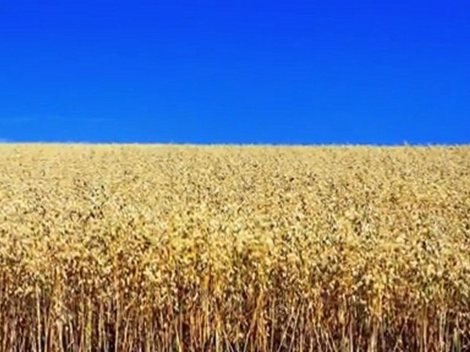 Christian Praise Worship Songs Lyrics (in Description ) - I Am Ascending / John 20