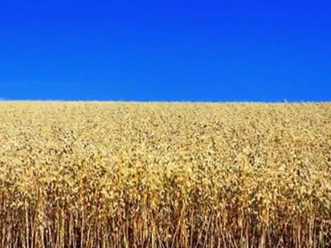 Christian Praise Worship Songs Lyrics (in Description ) - I Am Ascending / John 20